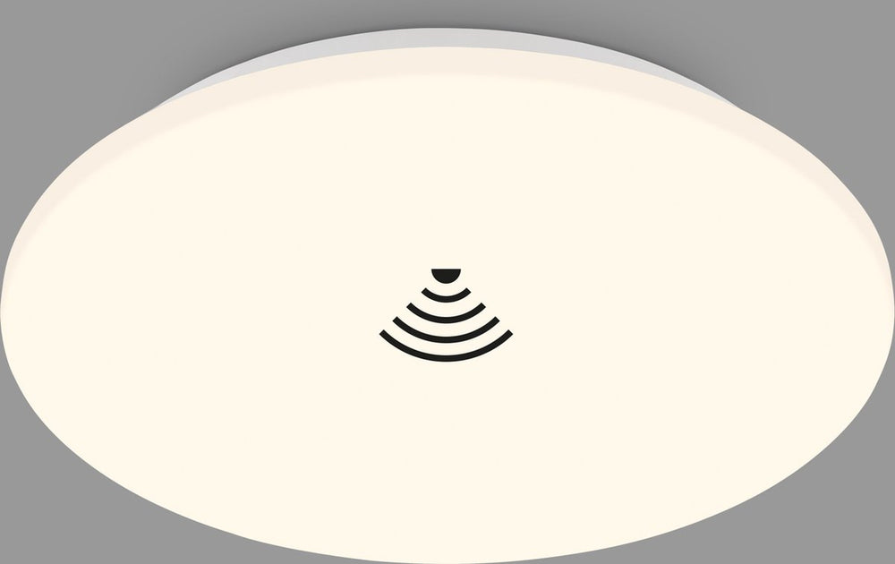 4002707445869