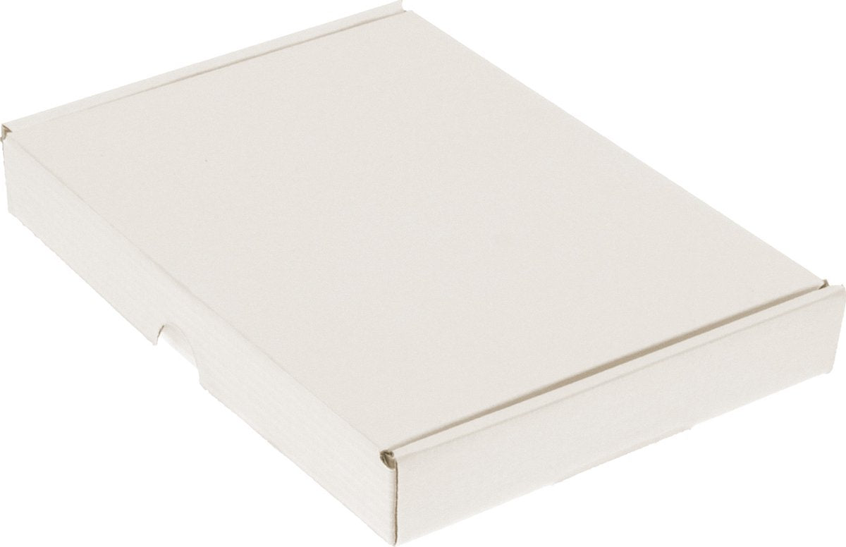 Raadhuis brievenbusdoos - 210x150x27mm - wit - 25 stuks