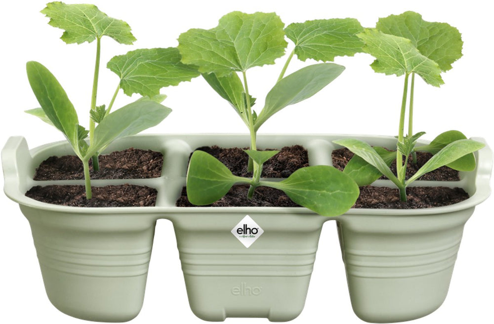Elho green basics seed tray 22cm accessoire - steengroen