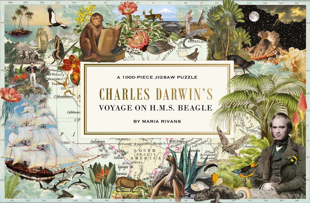 Charles darwin's voyage on h.m.s. beagle