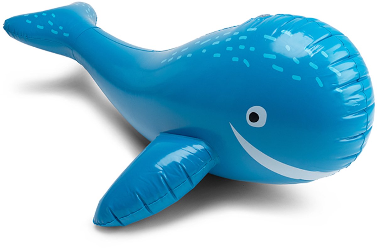Droomlandschap | blauwe walvis watersproeier