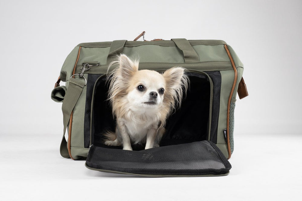 Flamingo hondendraagtas hannah groen – comfortabele draagtas hond met ventilatiegaas, opbergvakken karabijnhaak – 47x26,5x34 cm
