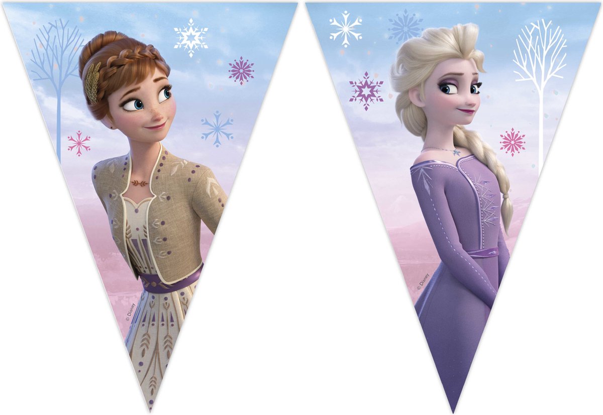 Globos paper flag line FSC Frozen 2 Wind Spirit, 3m.