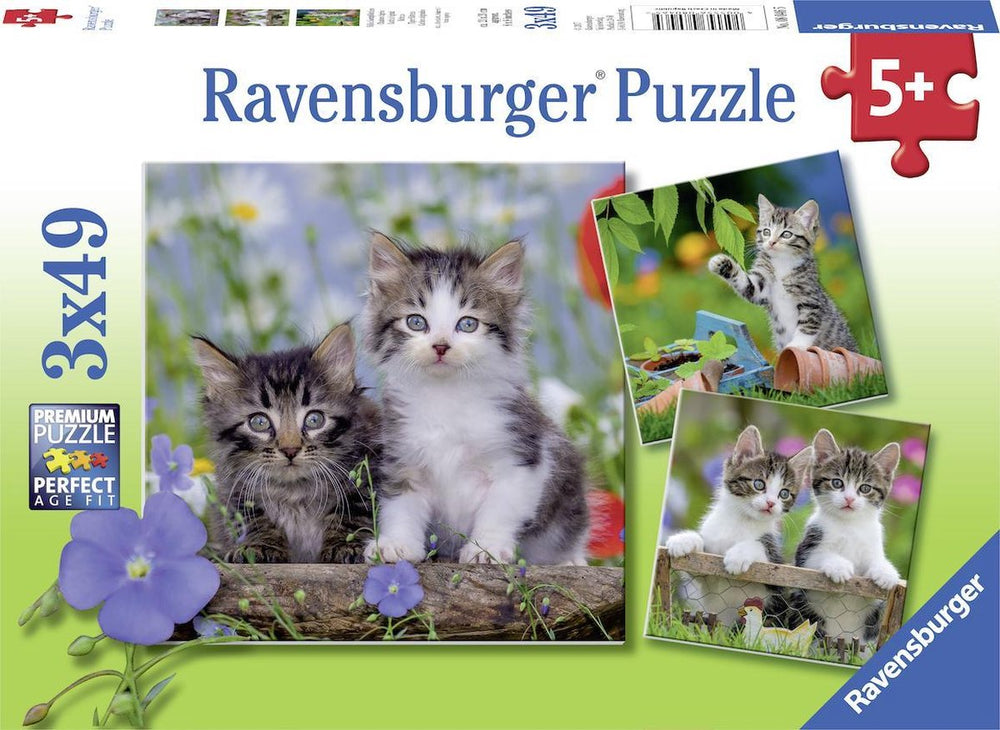 Ravensburger cats puzzle - 3x49 pieces - children's puzzle