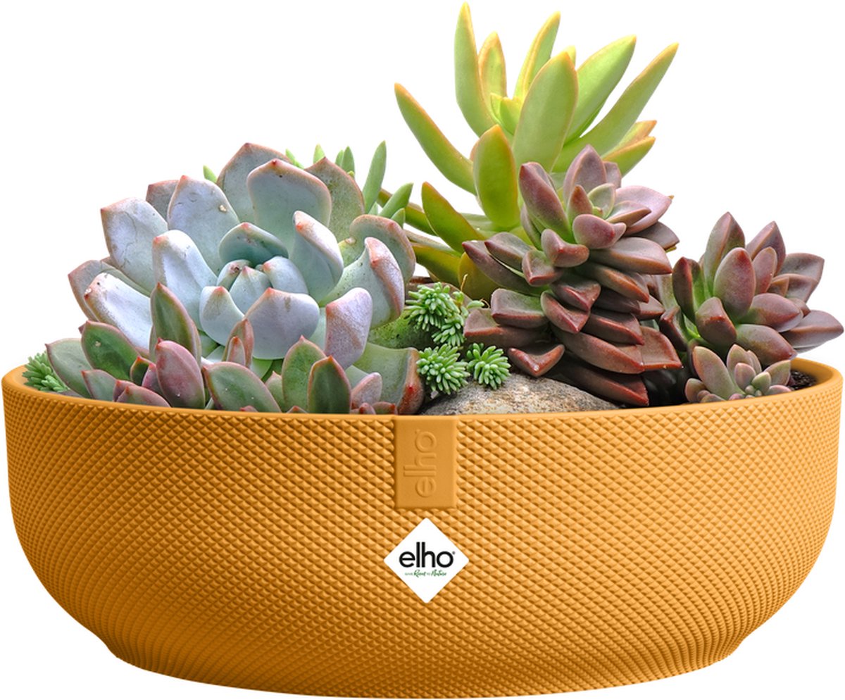 Elho jazz bowl 28 - bloempot voor binnen - 100% gerecycled plastic - ø 27.5 x h 9.0 cm - amber geel