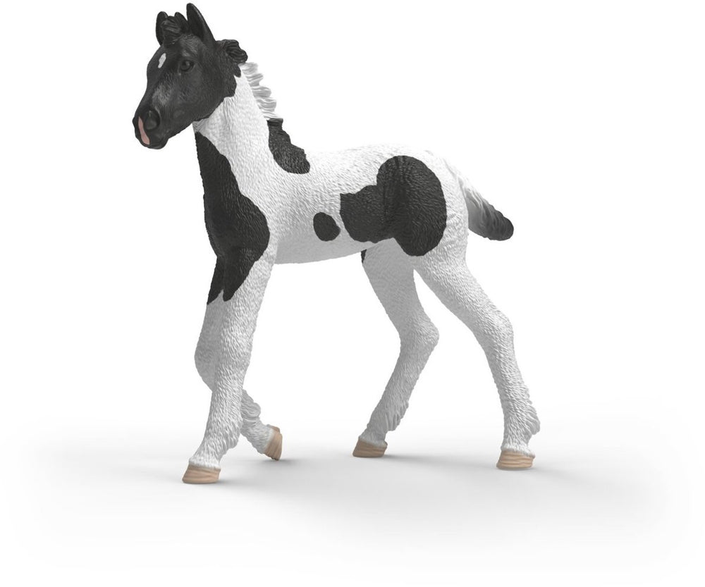 Schleich horse club verzamelbaar veulen rocky 81481