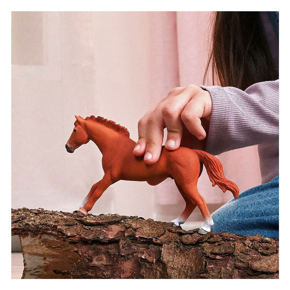 Schleich horse club engels volbloed hengst 14915