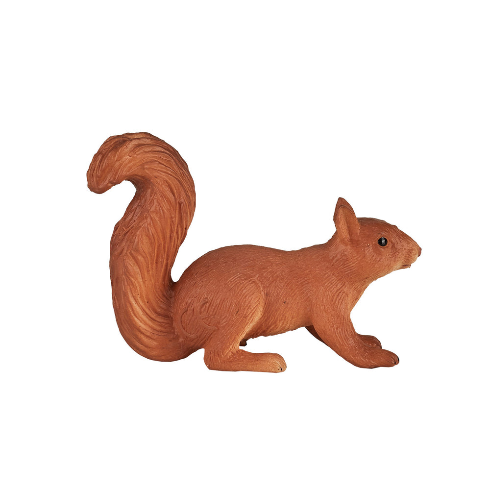Mojo wildlife rennende eekhoorn - 387032
