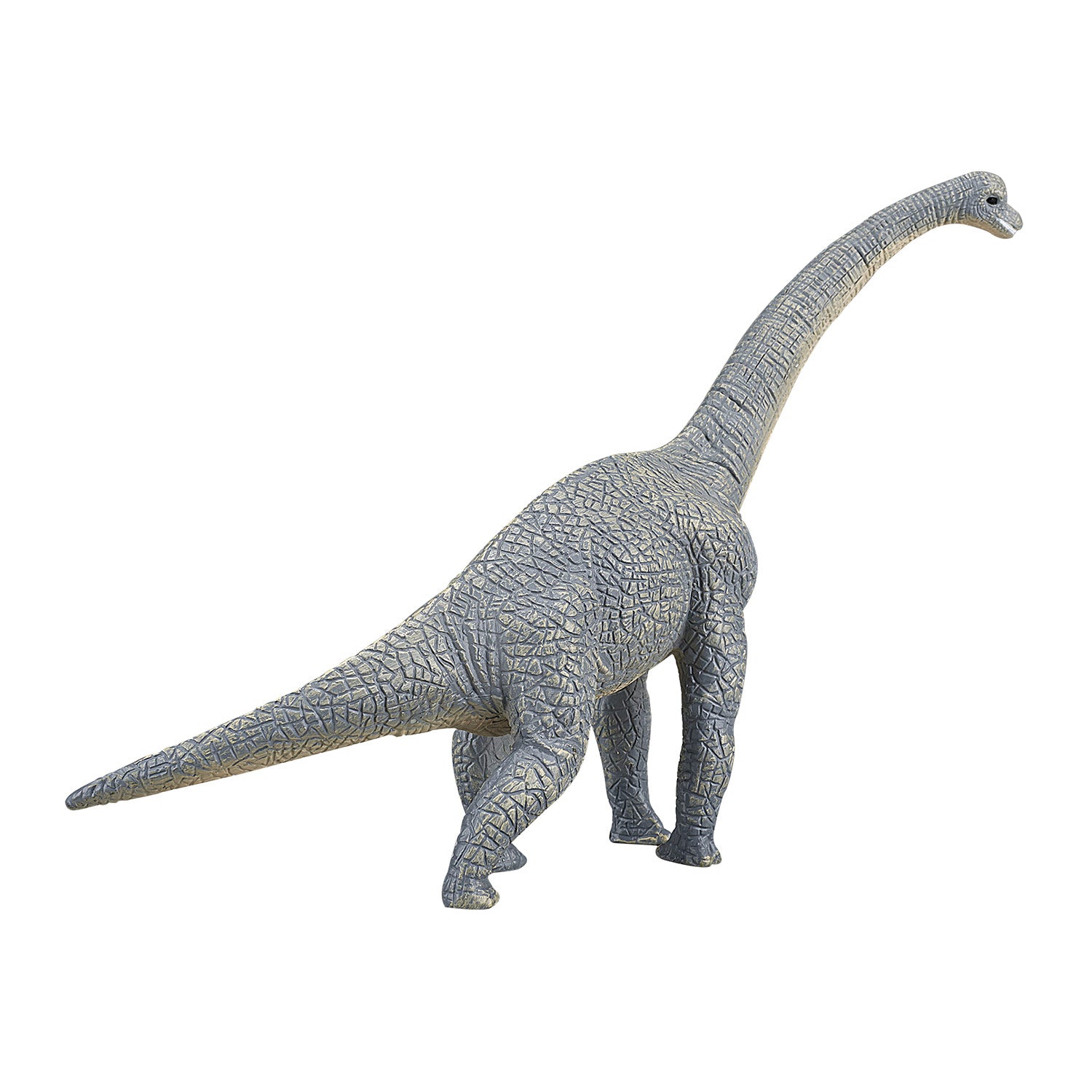 Mojo prehistorie brachiosaurus - 387044