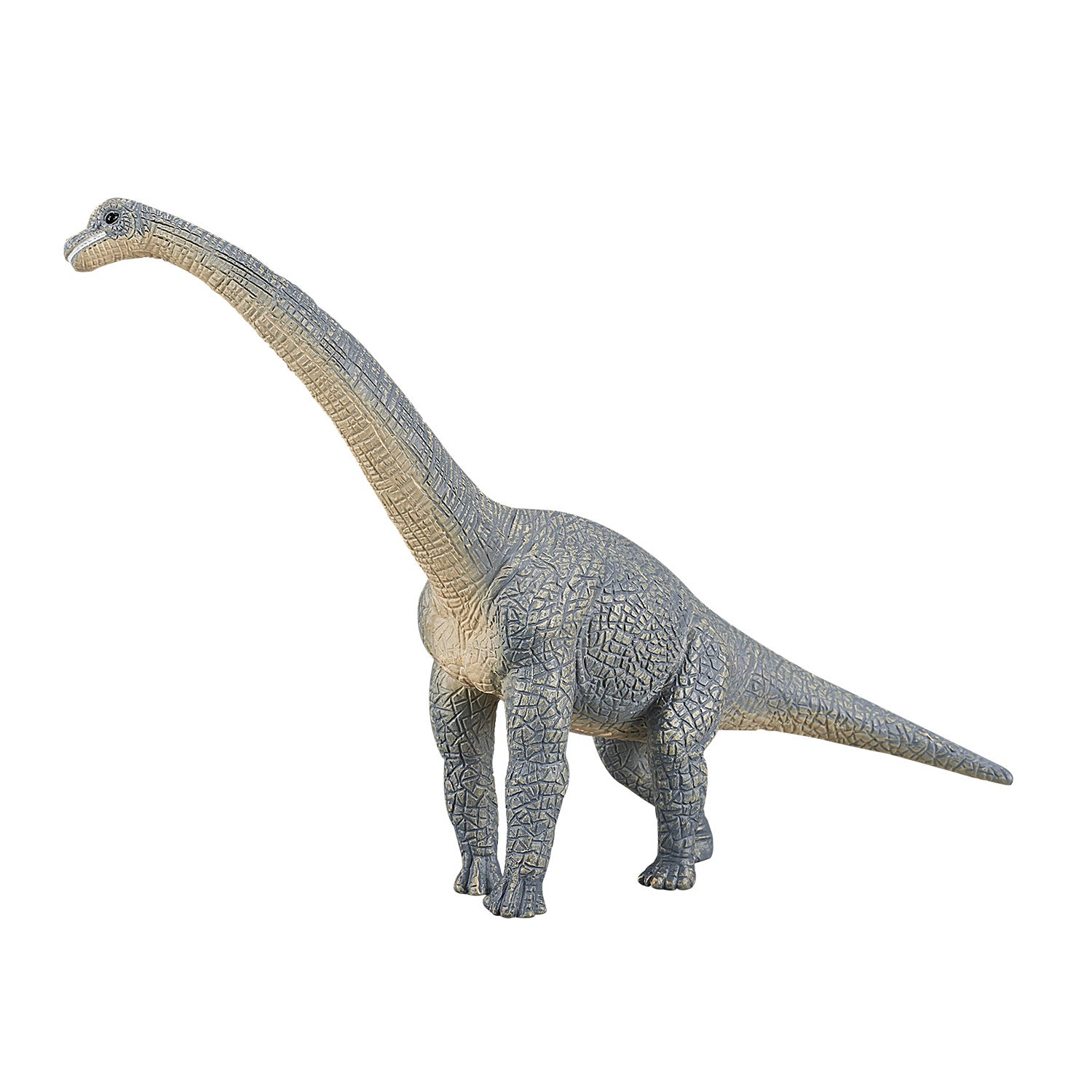 Mojo prehistorie brachiosaurus - 387044