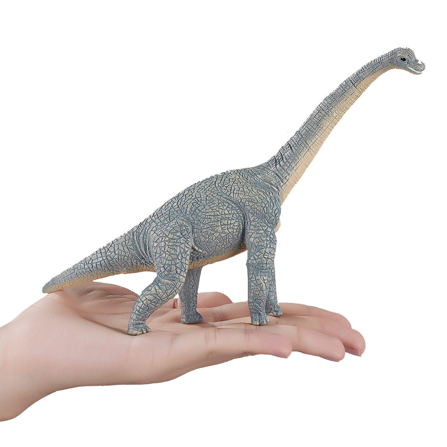 Mojo Prehistorie Brachiosaurus 387044