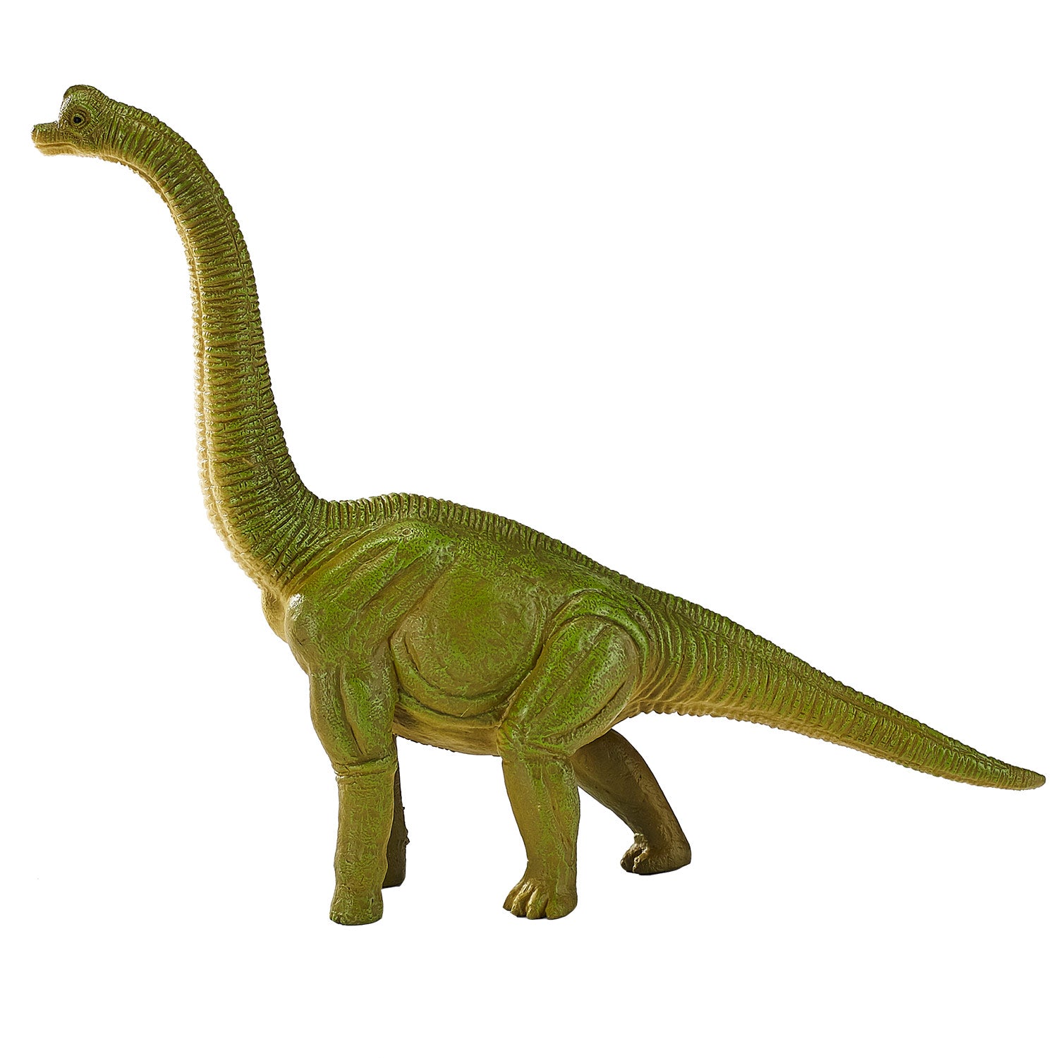 Mojo prehistorie brachiosaurus - 387212