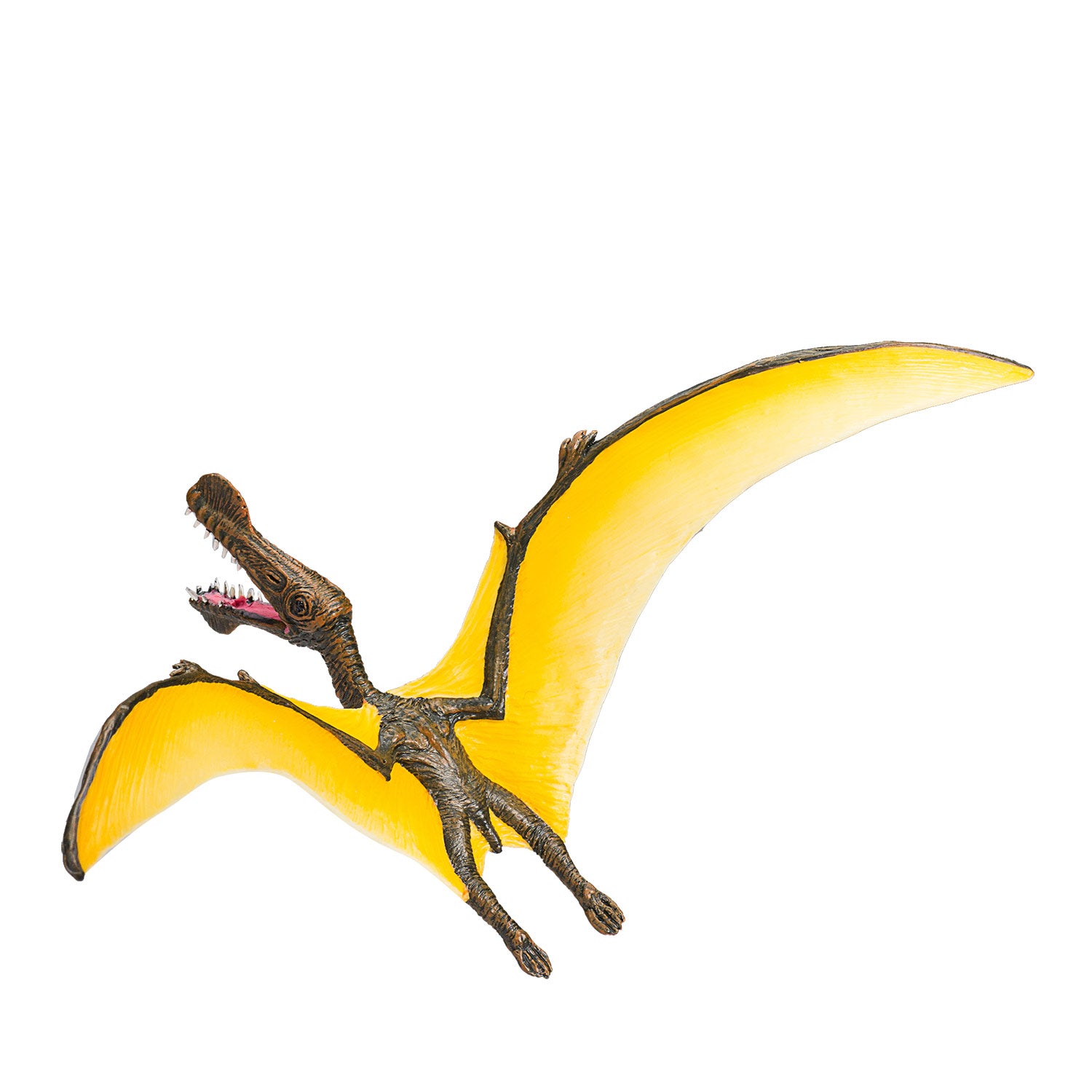 Mojo Prehistorie Tropeognathus 387.375