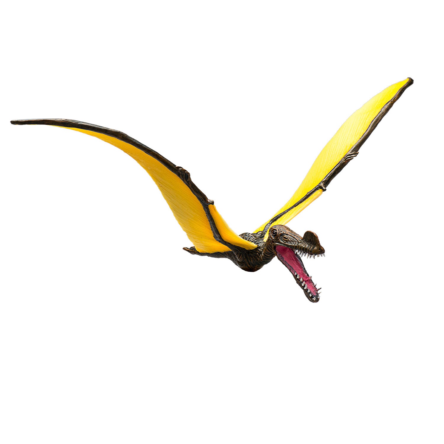 Mojo Prehistorie Tropeognathus 387.375