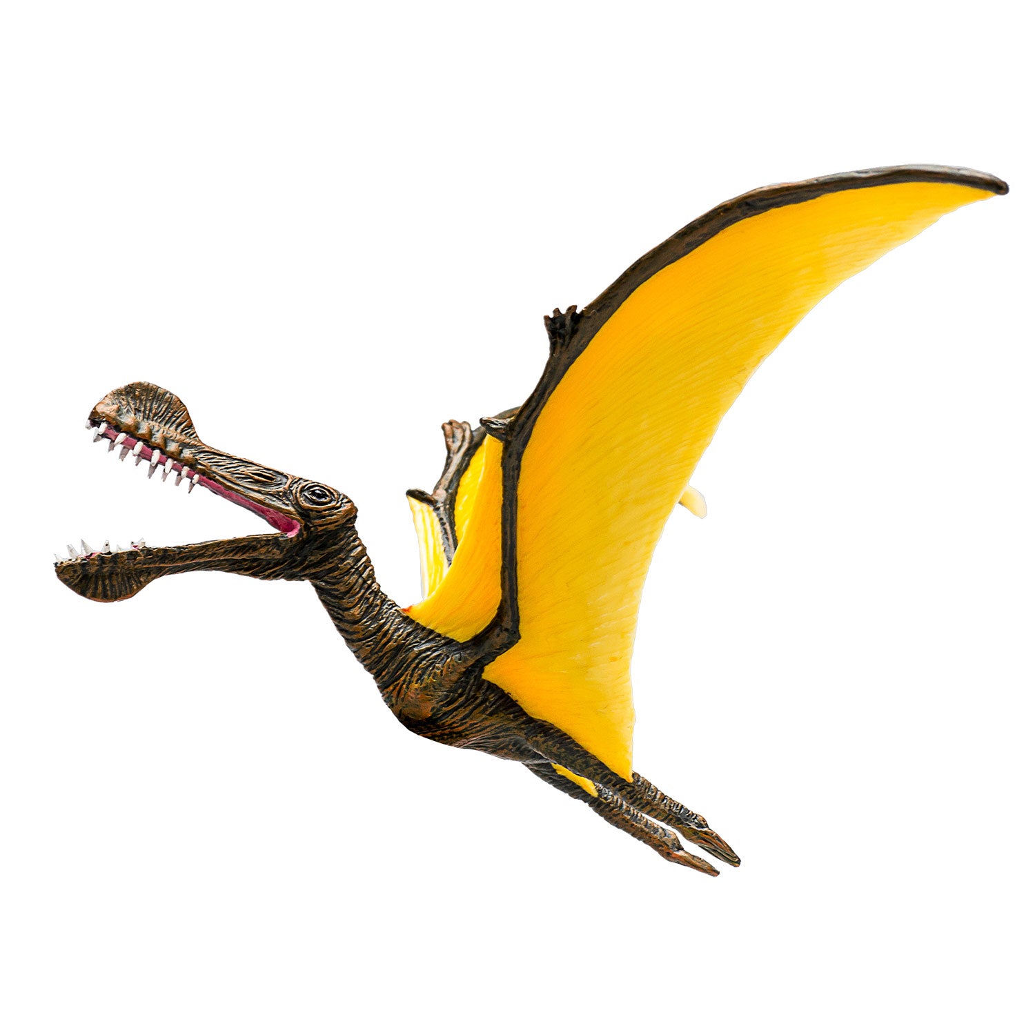 Mojo Prehistorie Tropeognathus 387.375