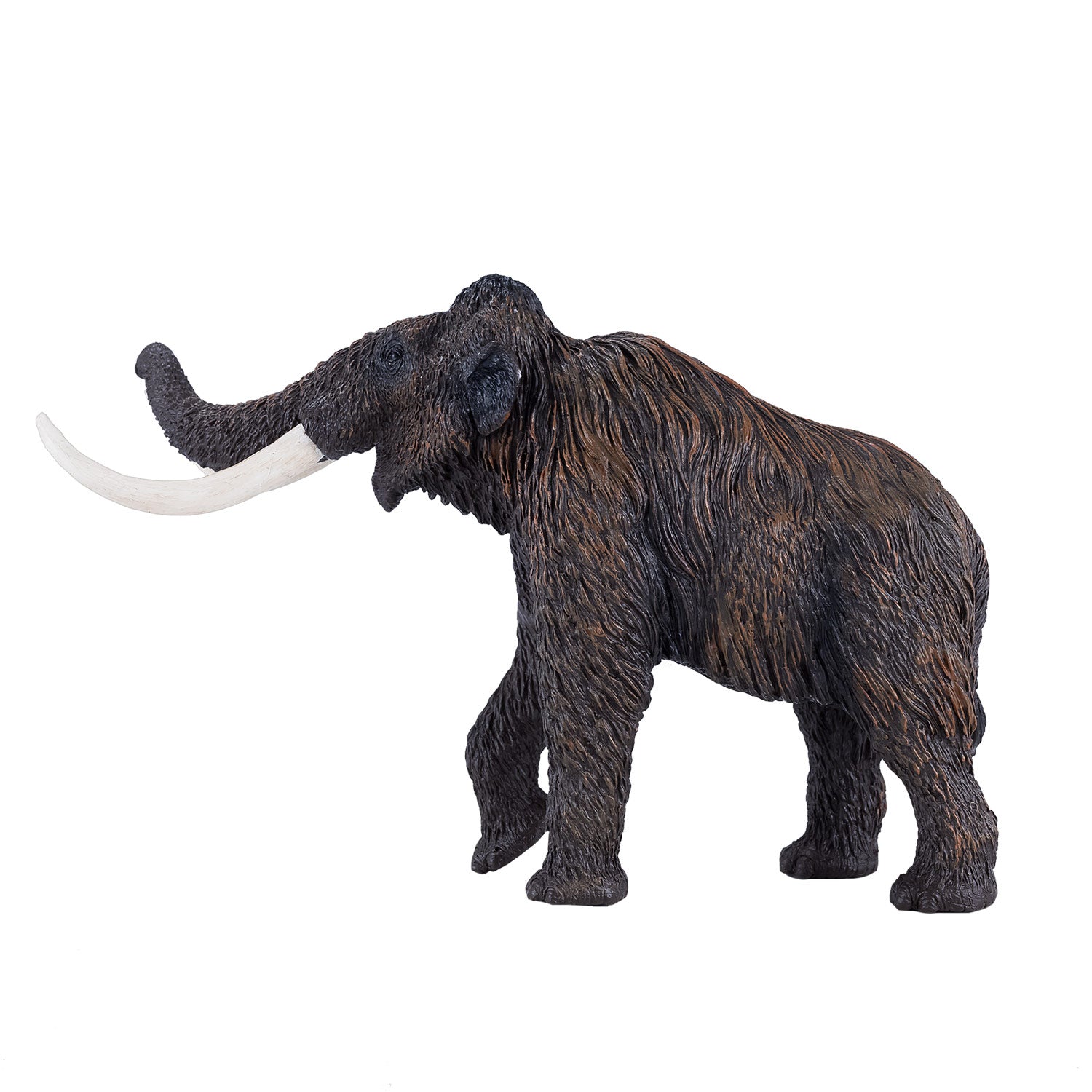 Mojo prehistorie wolharige mammoet - 381049