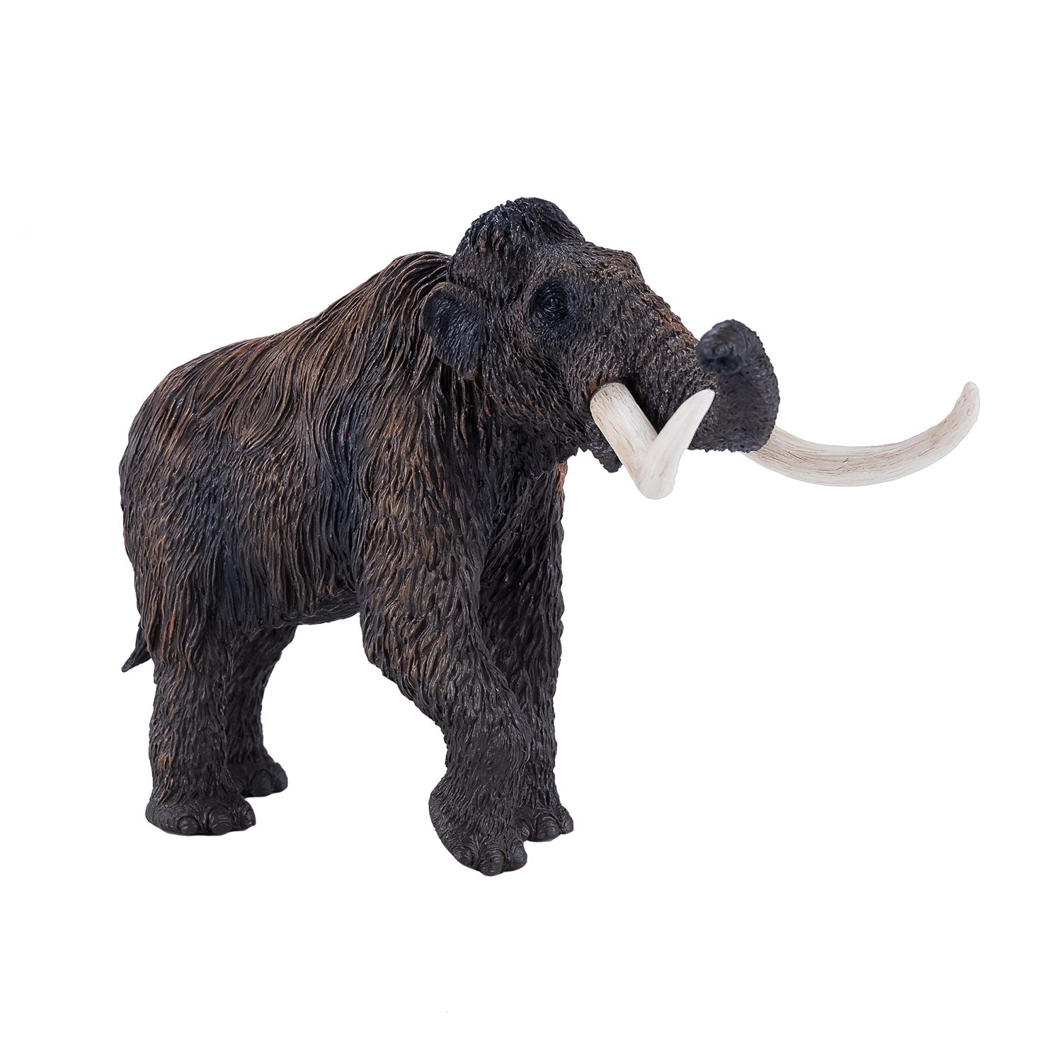 Mojo prehistorie wolharige mammoet - 381049