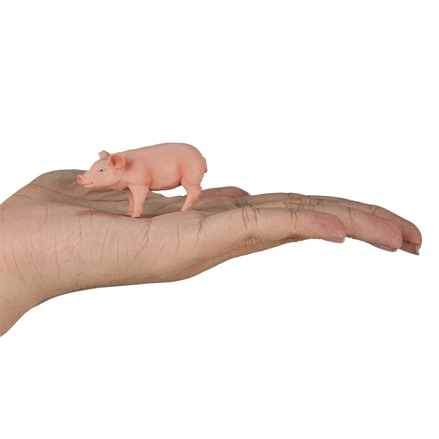 Mojo-landbouwgrond 387055