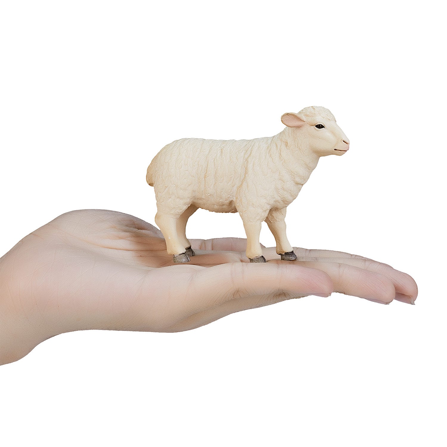 Mojo Landbouwgrond Schaap Ooi - 387096