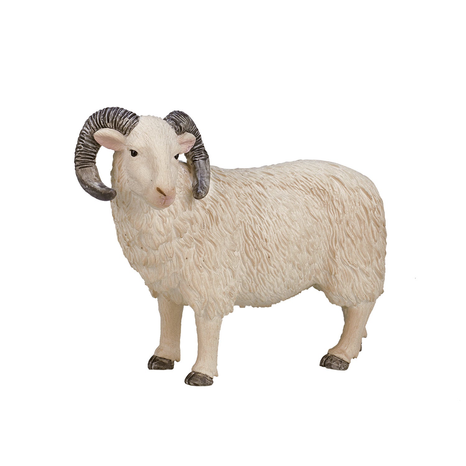 Mojo Landbouwgrond Schaap Ram 387097