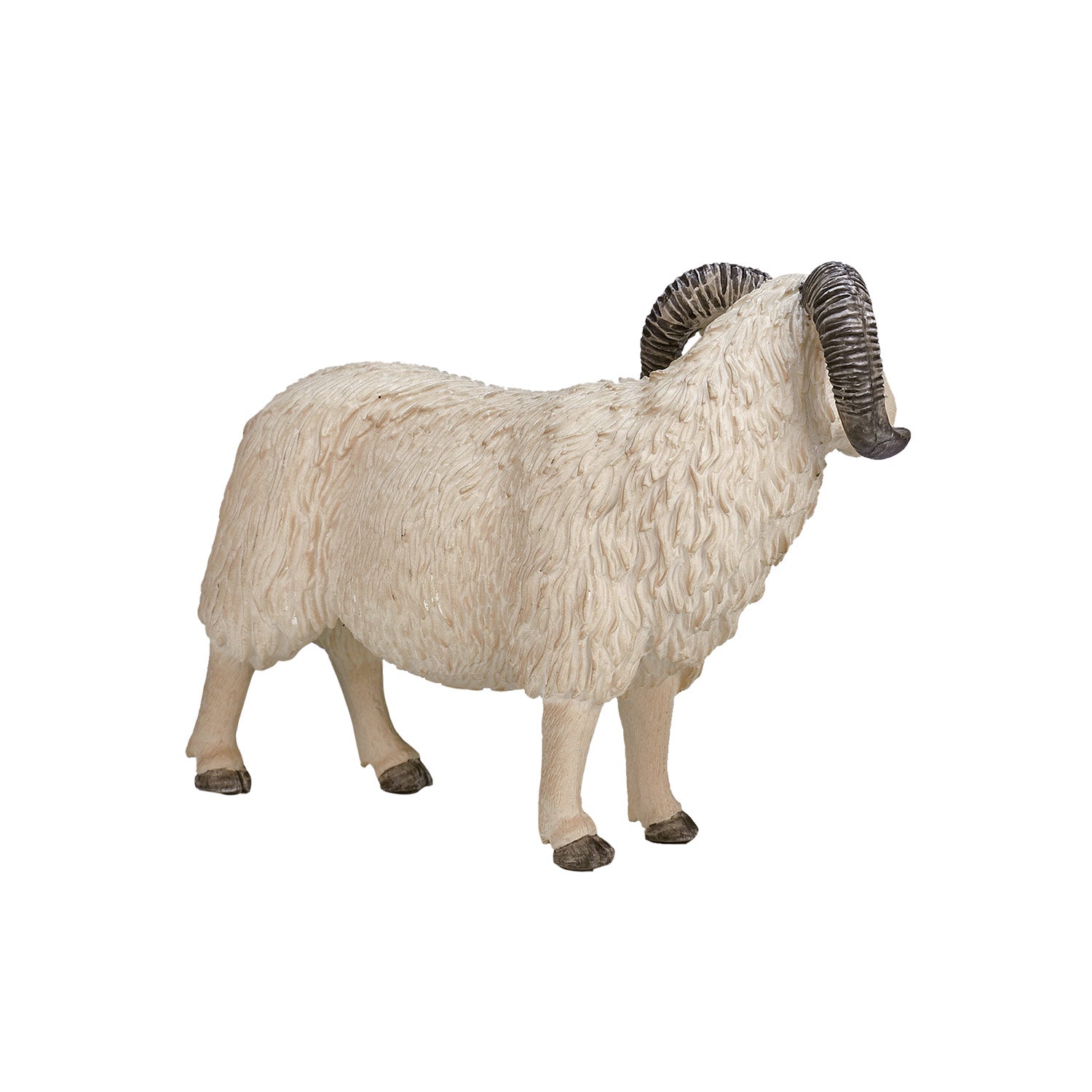 Mojo Landbouwgrond Schaap Ram 387097