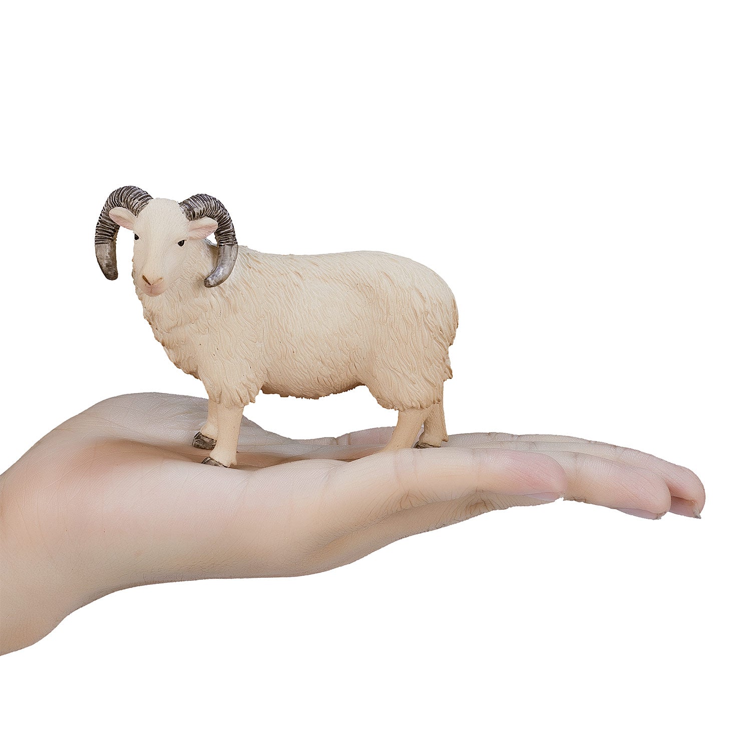Mojo Landbouwgrond Schaap Ram 387097