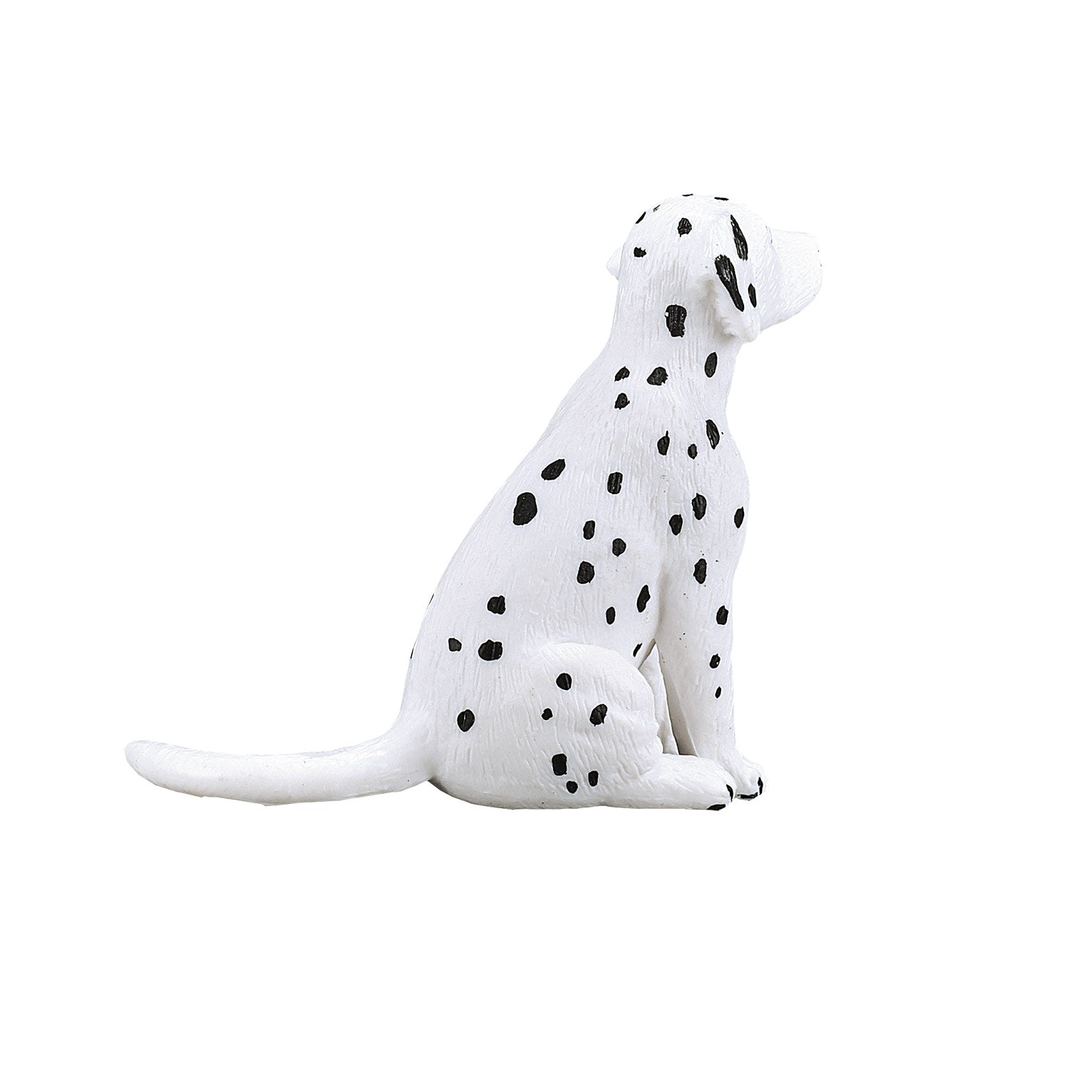 Mojo farmland dalmatische puppy - 387249