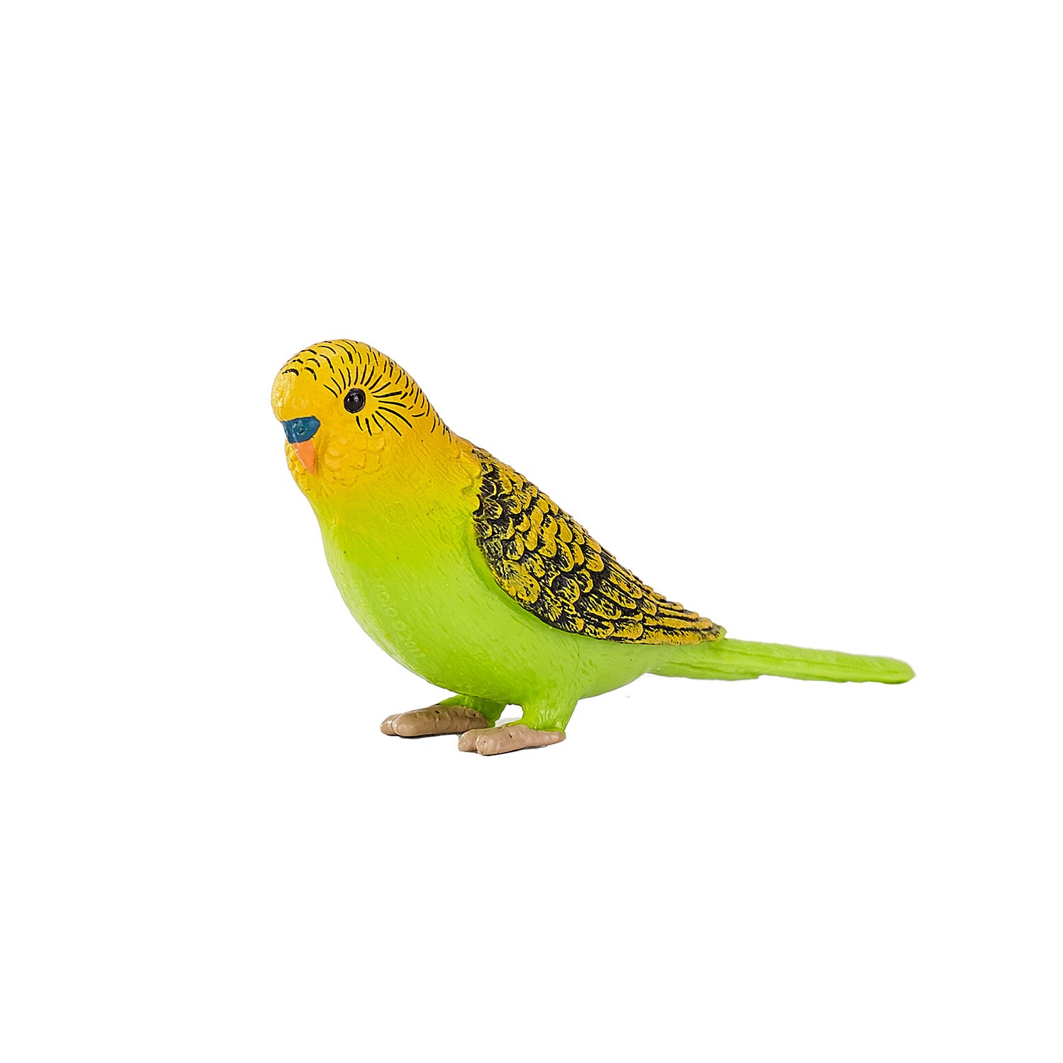Mojo Landbouwgrond Grasparkiet Groen 387262