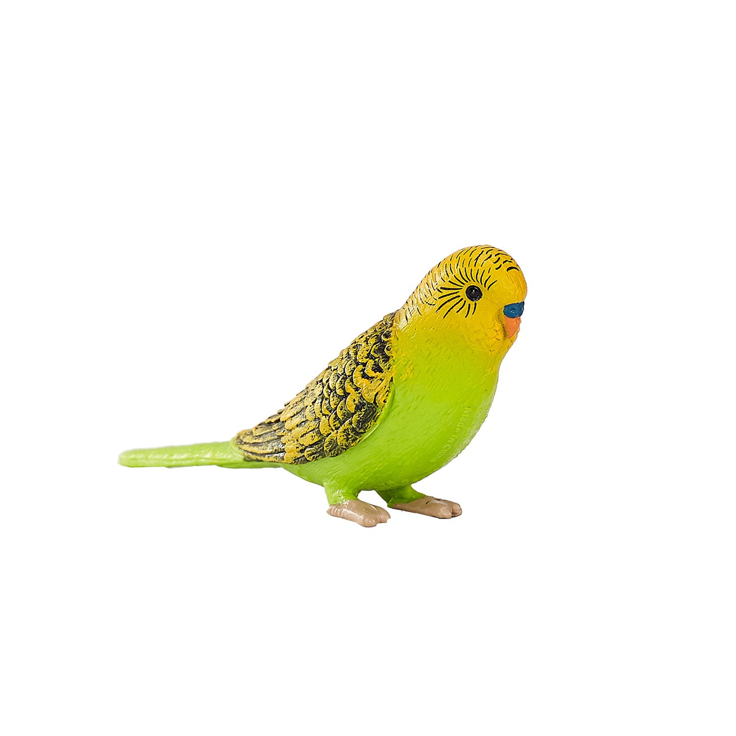 Mojo Landbouwgrond Grasparkiet Groen 387262