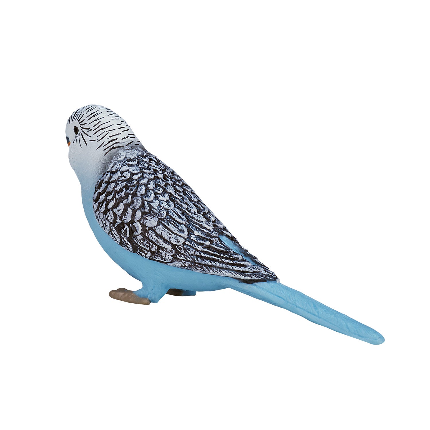 Mojo Landbouwgrond Grasparkiet Blauw 387292