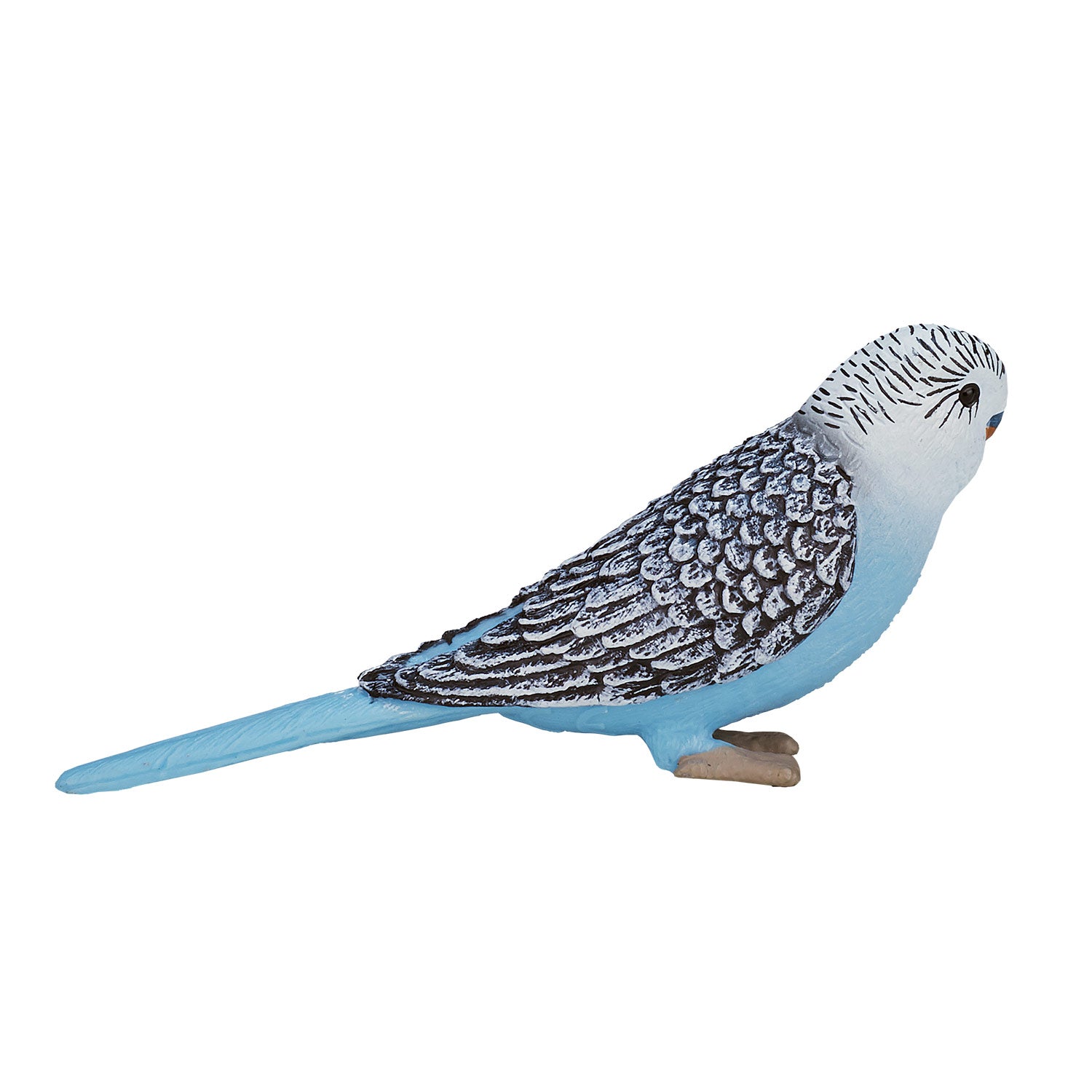 Mojo Landbouwgrond Grasparkiet Blauw 387292