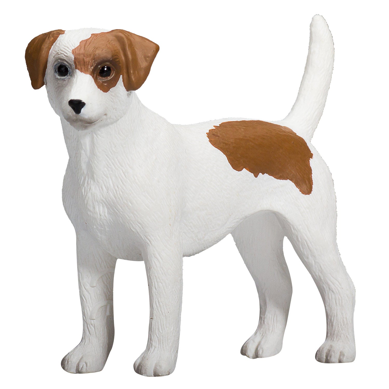 Mojo Landbouwgrond Jack Russell Terriër - 387286