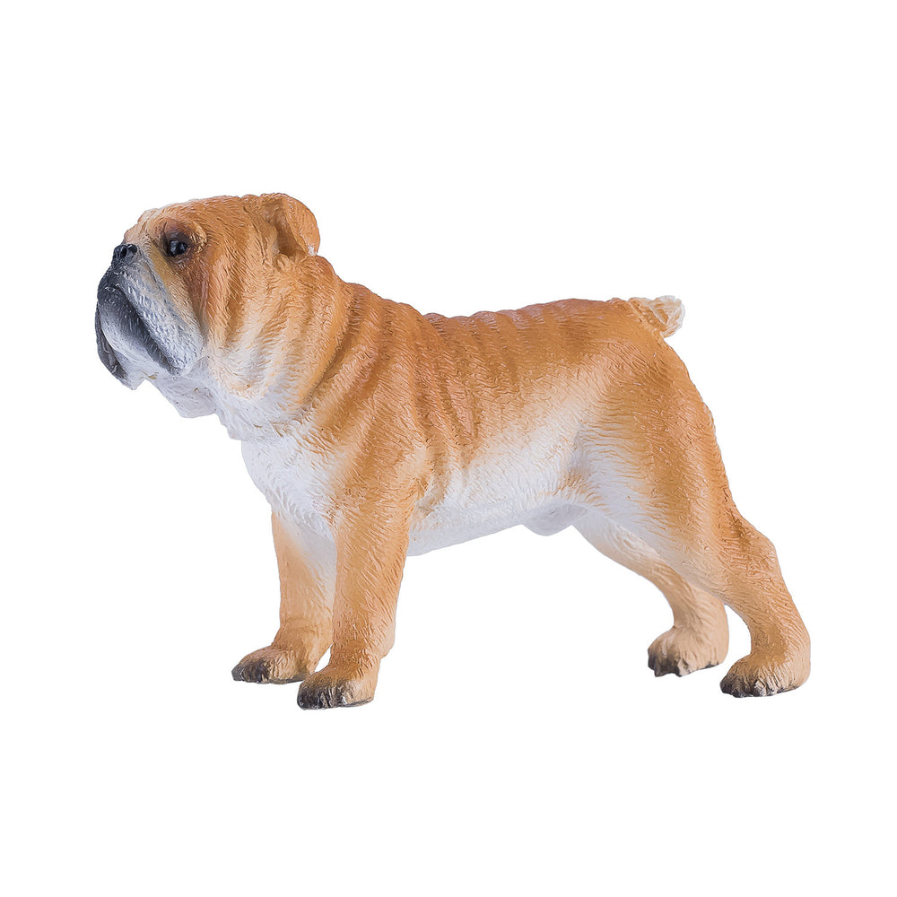 Mojo farmland engelse bulldog - 381053