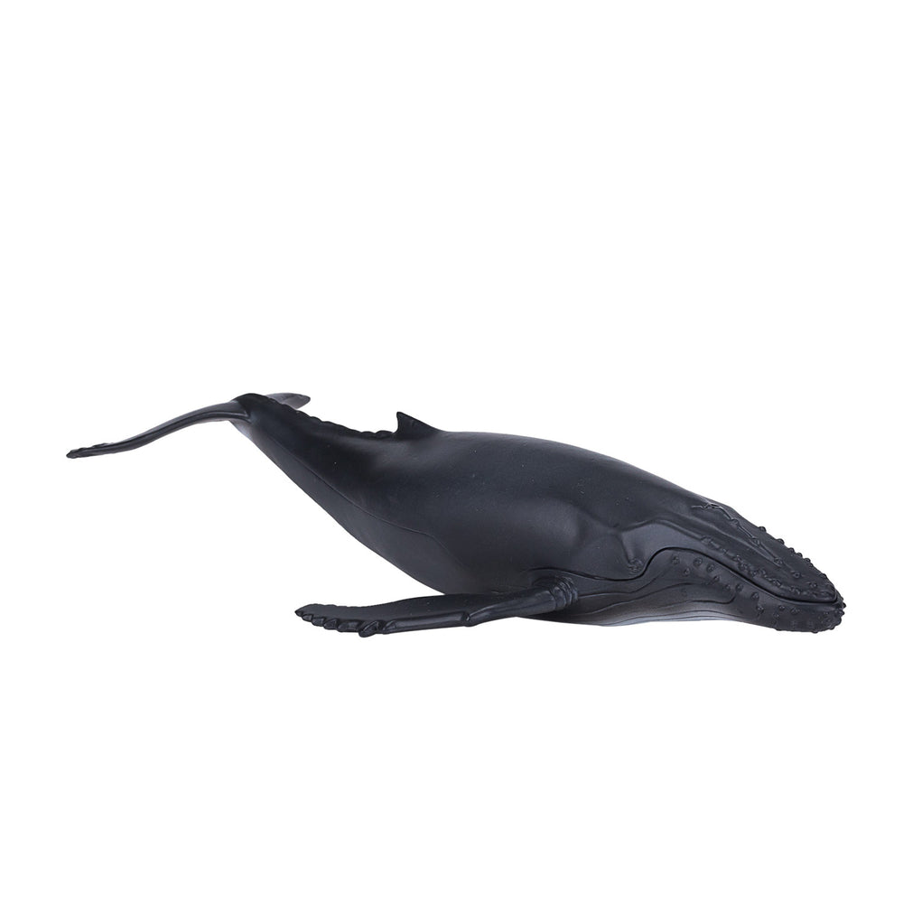Mojo sealife bultrug - 387119