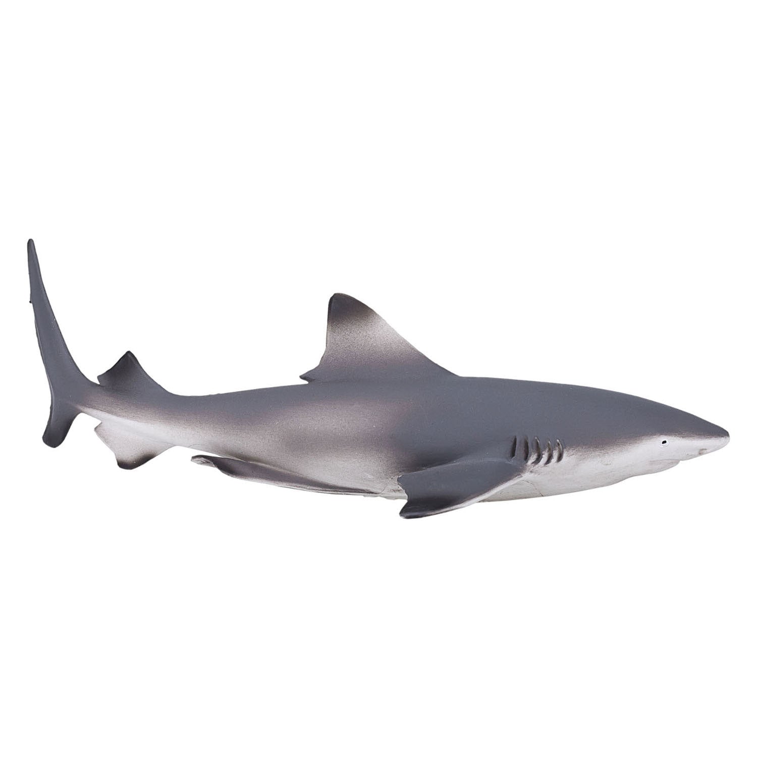 Mojo sealife zwartpuntrifhaai 387357