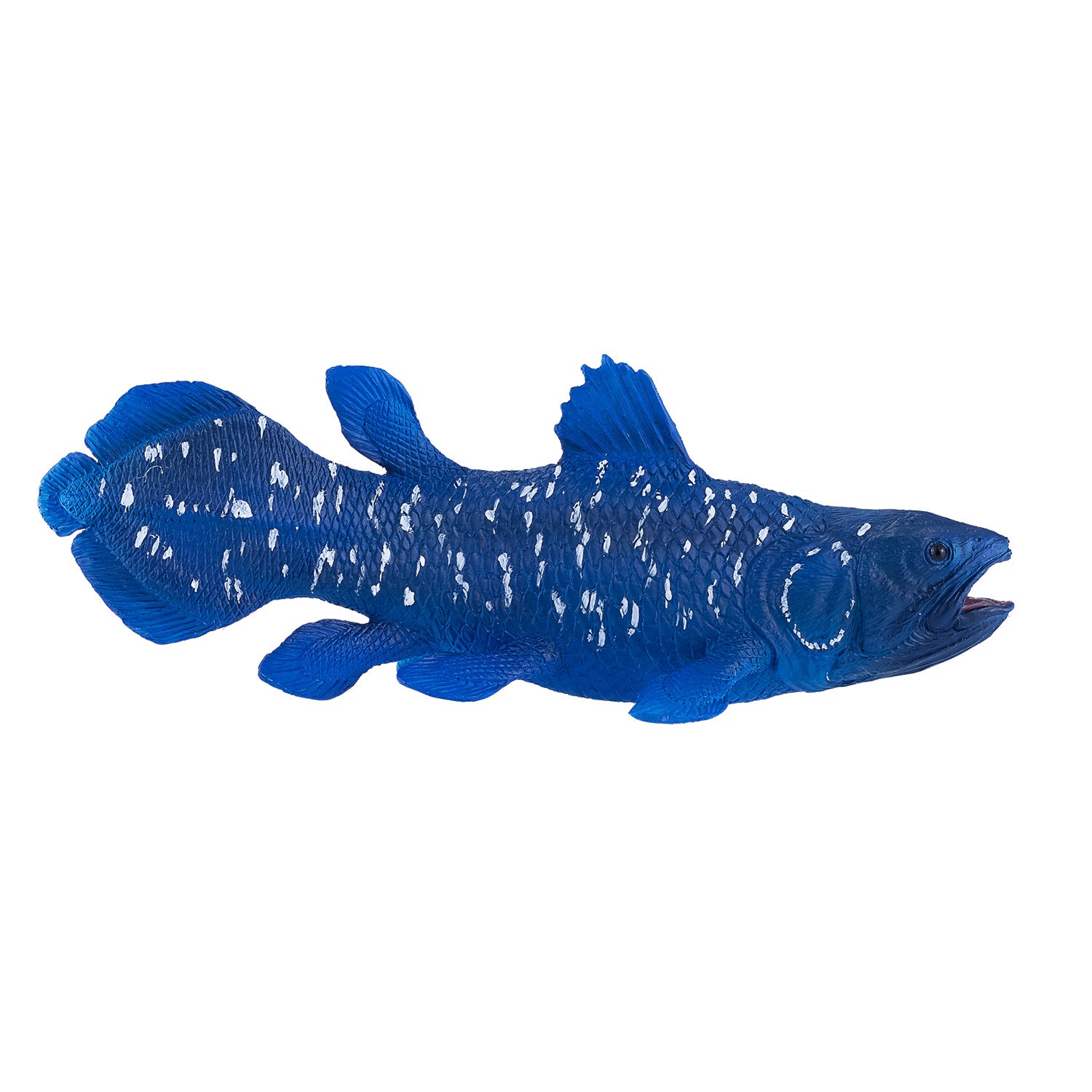 Mojo Sealife Coelacant 381050