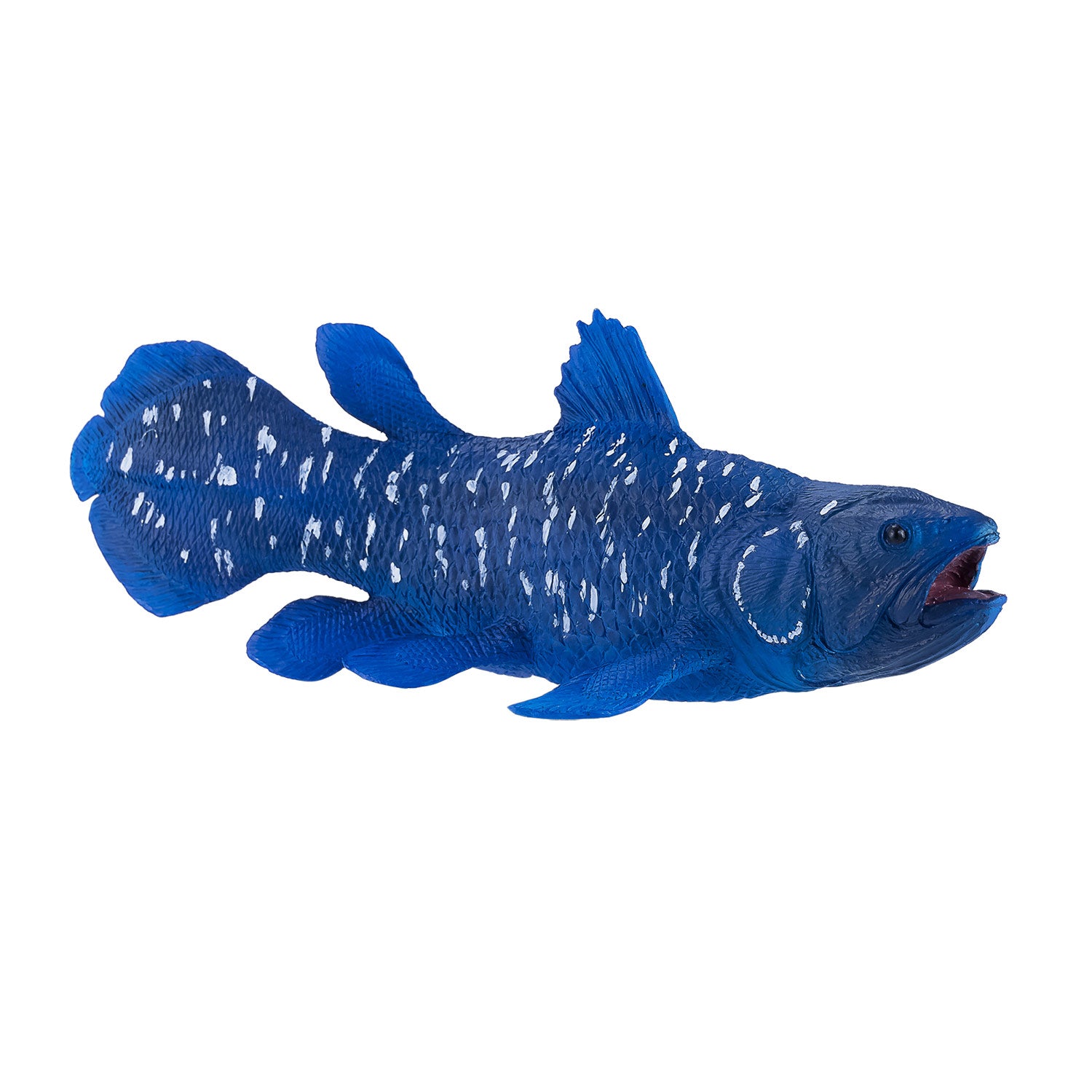 Mojo Sealife Coelacant 381050
