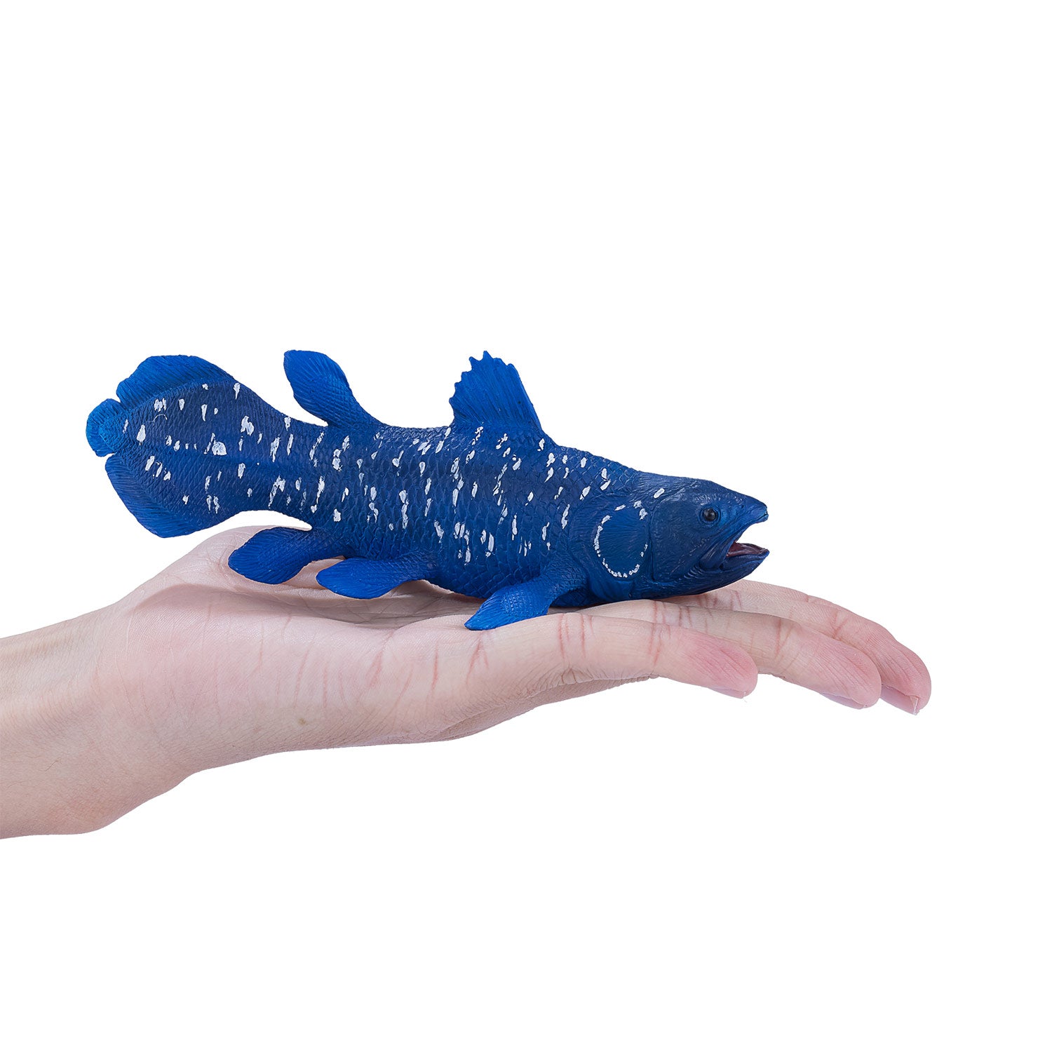 Mojo Sealife Coelacant 381050
