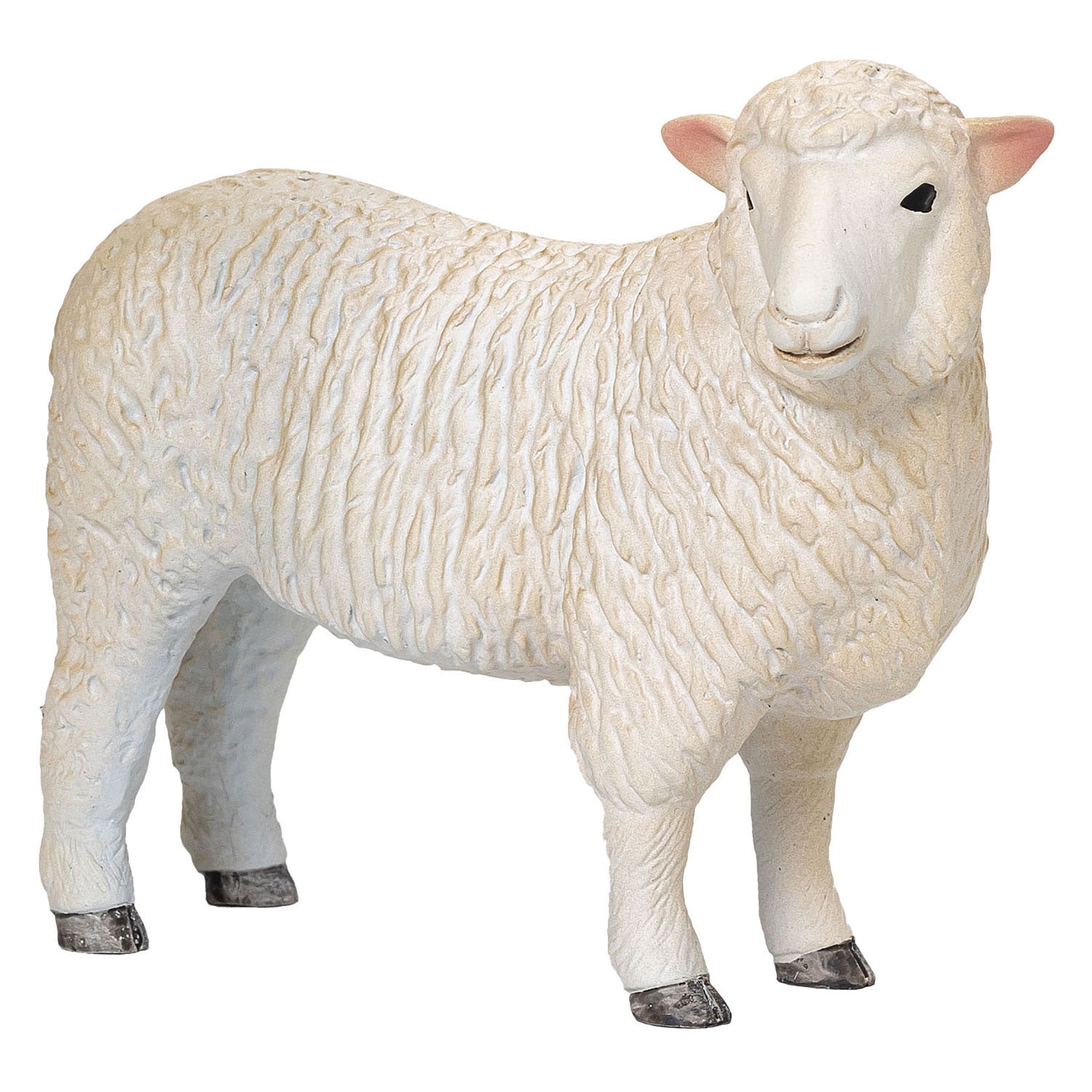 Mojo landbouwgrond romney schaap ooi - 381064