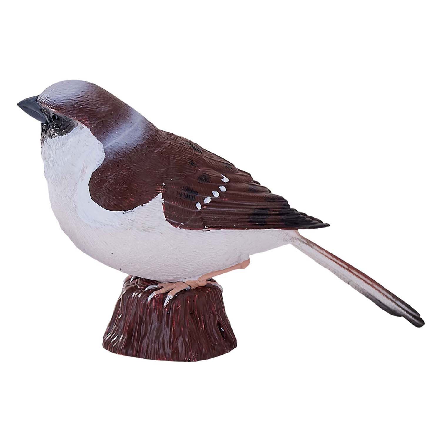 Mojo landbouwgrond huismus - 381114