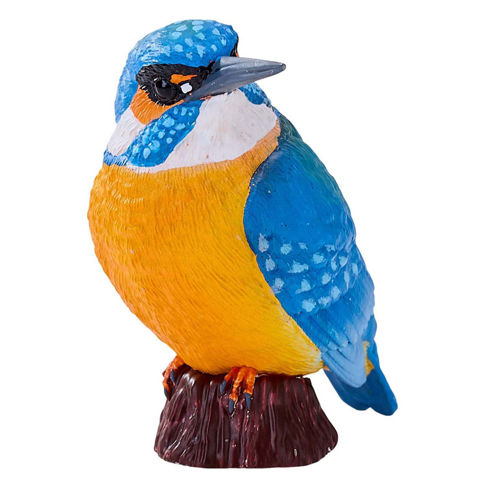 Mojo landbouwgrond ijsvogel - 381116