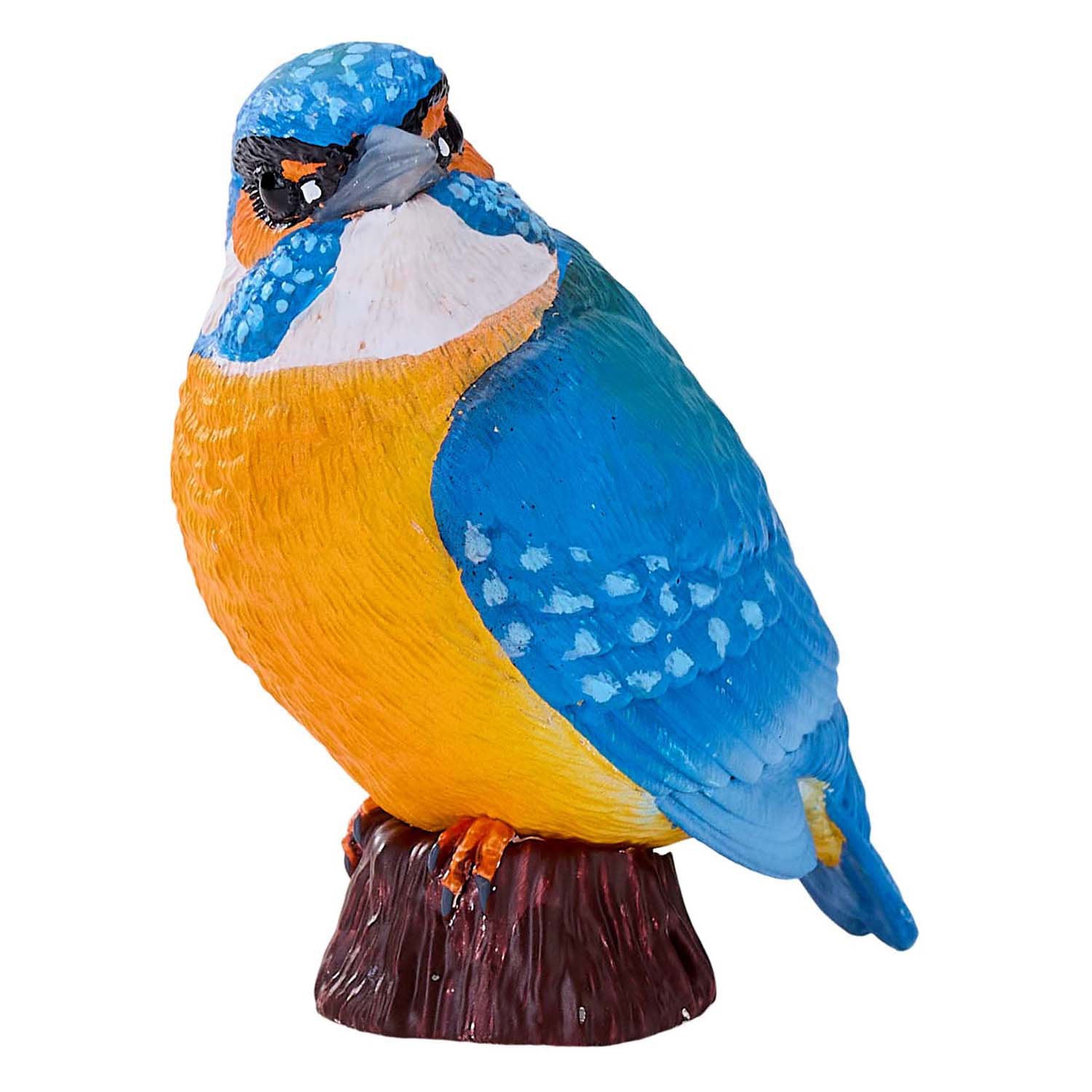 Mojo landbouwgrond ijsvogel - 381116