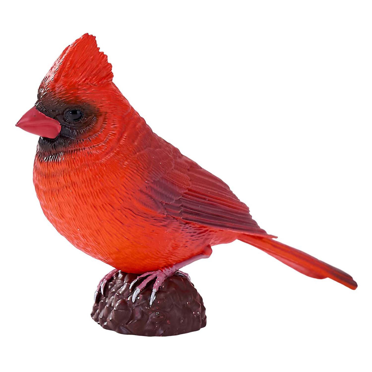 Mojo landbouwgrond reed kardinaal - 381117