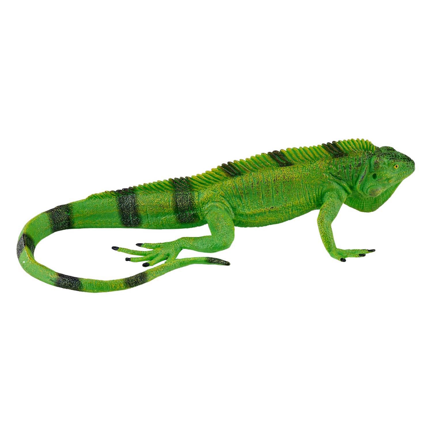 Mojo wildlife leguaan - 381095