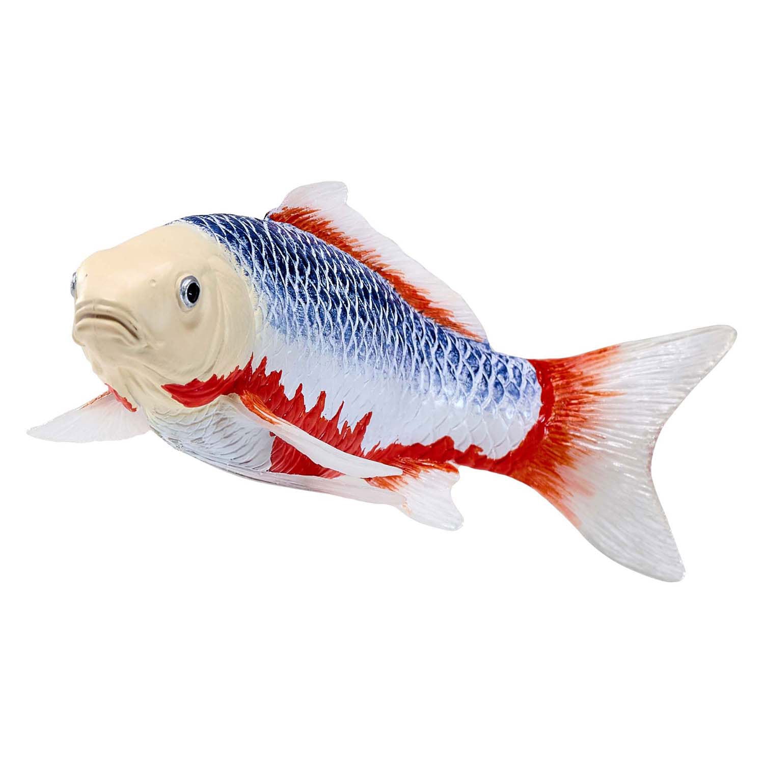 Mojo sealife koi karper - asagi koi - 381100