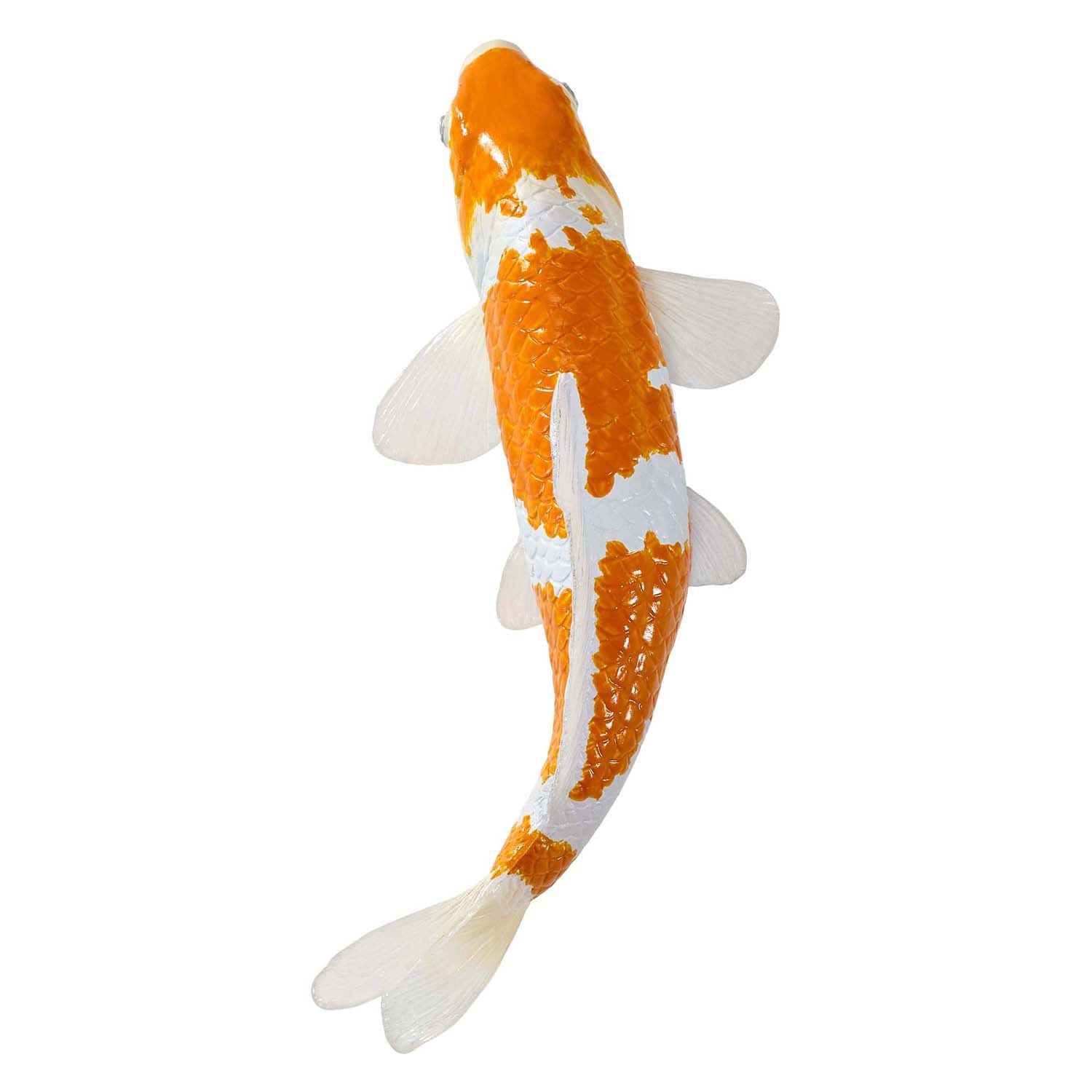 Mojo sealife koi karper - ochiba shigure koi - 381104