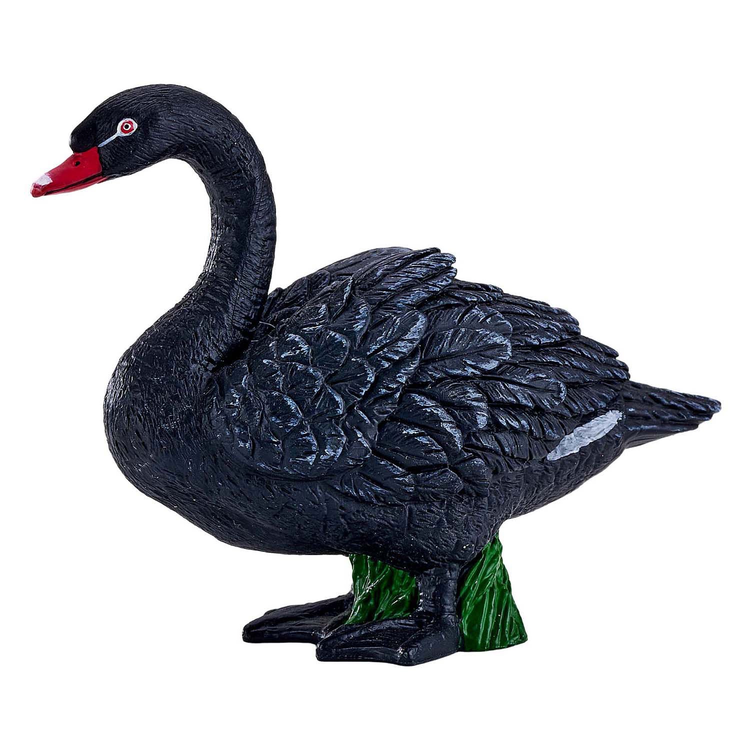 Mojo landbouwgrond zwarte zwaan - 381067