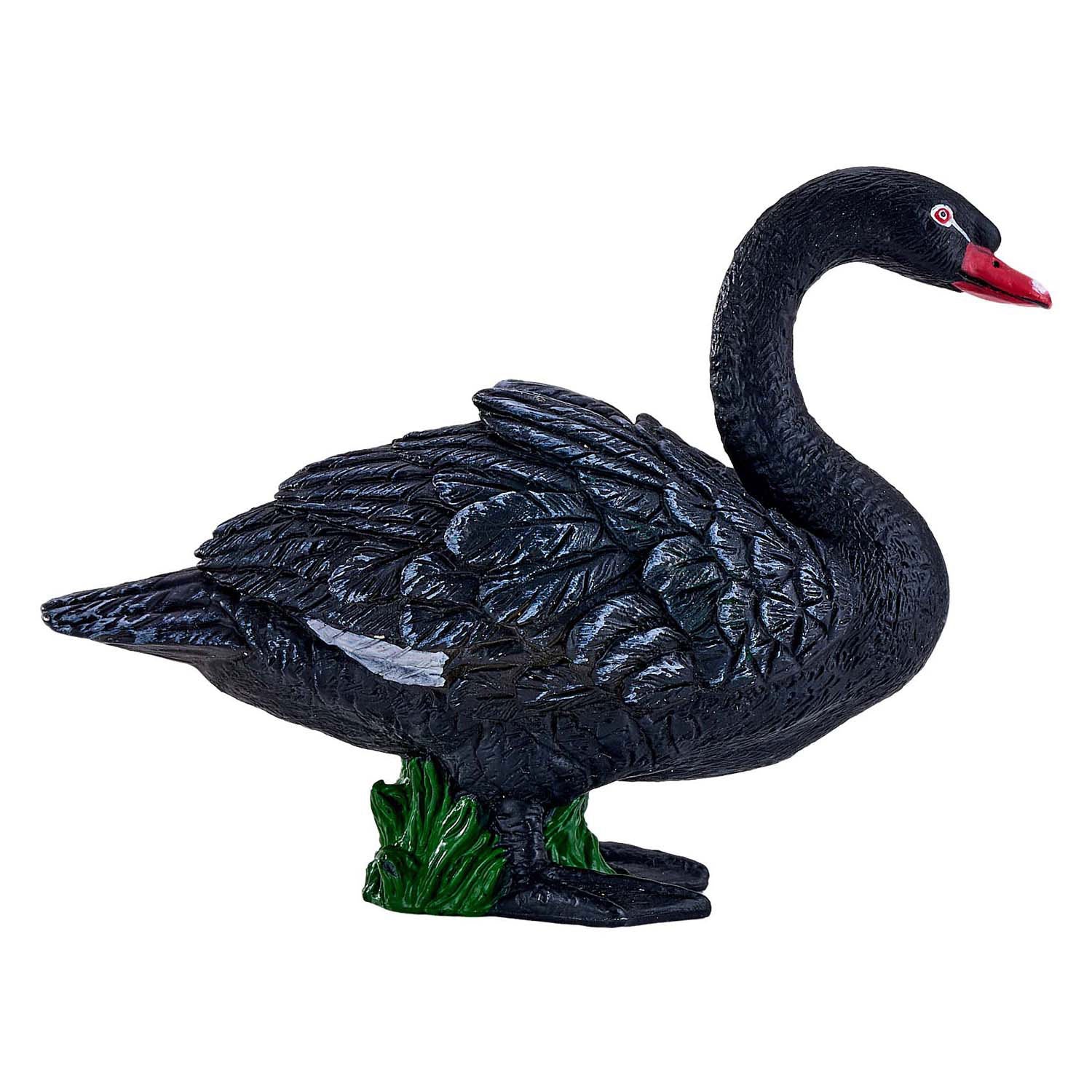 Mojo landbouwgrond zwarte zwaan - 381067