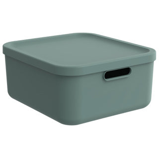 Rotho decoratie opbergbox albula light 20 l maretak groen