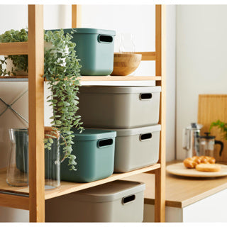 Rotho decoratie opbergbox albula light 20 l maretak groen